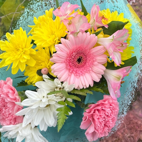 Meet your Posher, Emma - Picture 1 of 1